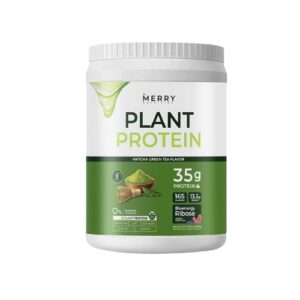 Merry Plant Protein Matcha Green Tea Flavor
